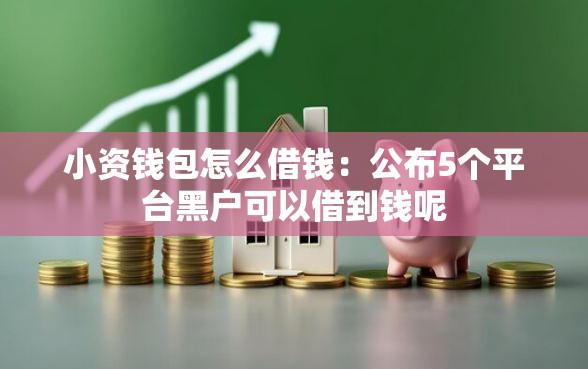 小资钱包怎么借钱：公布5个平台黑户可以借到钱呢