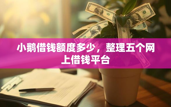 小鹅借钱额度多少，整理五个网上借钱平台