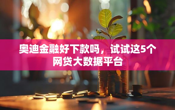 奥迪金融好下款吗，试试这5个网贷大数据平台