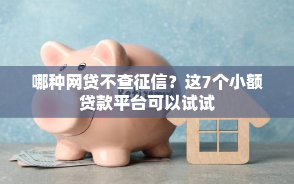 哪种网贷不查征信？这7个小额贷款平台可以试试