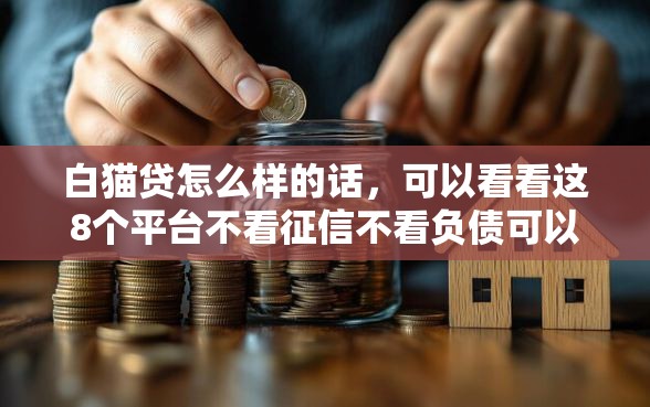 白猫贷怎么样的话，可以看看这8个平台不看征信不看负债可以贷到钱