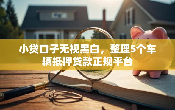 小贷口子无视黑白，整理5个车辆抵押贷款正规平台