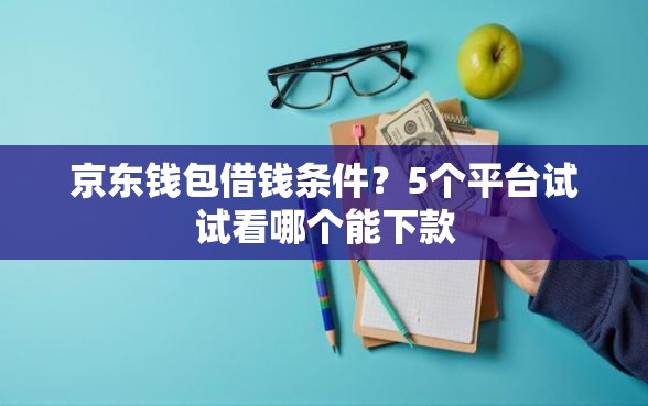 京东钱包借钱条件？5个平台试试看哪个能下款