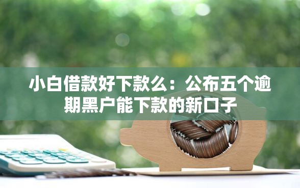 小白借款好下款么：公布五个逾期黑户能下款的新口子