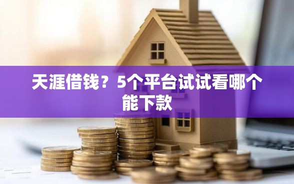 天涯借钱？5个平台试试看哪个能下款