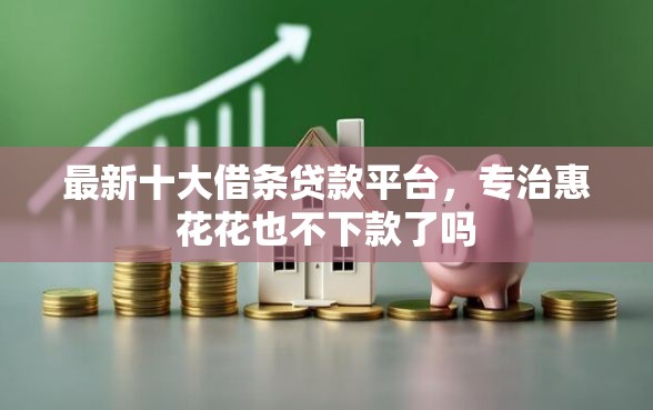 最新十大借条贷款平台，专治惠花花也不下款了吗