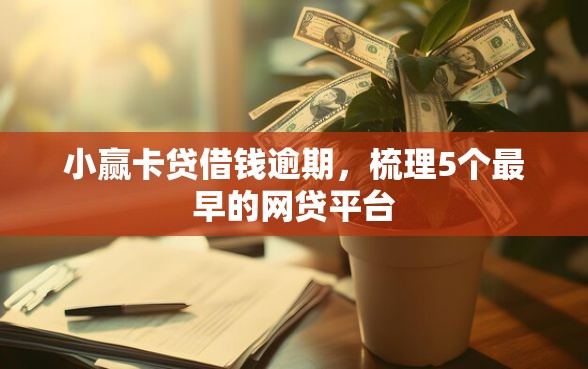 小赢卡贷借钱逾期，梳理5个最早的网贷平台