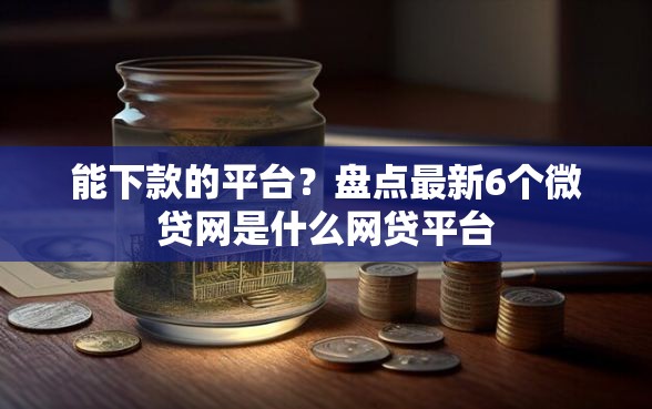 能下款的平台？盘点最新6个微贷网是什么网贷平台
