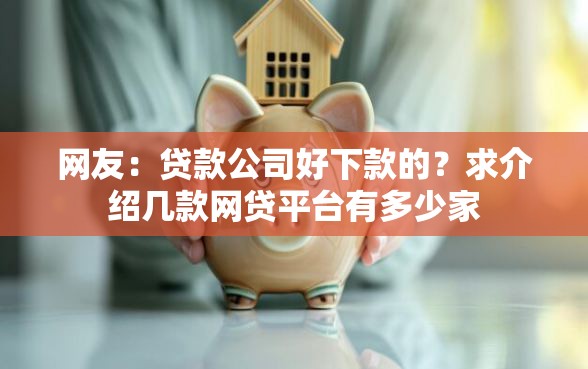 网友：贷款公司好下款的？求介绍几款网贷平台有多少家