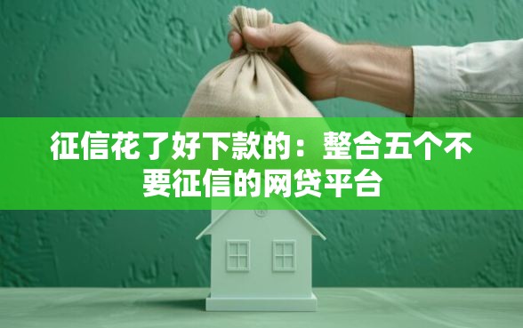 征信花了好下款的：整合五个不要征信的网贷平台