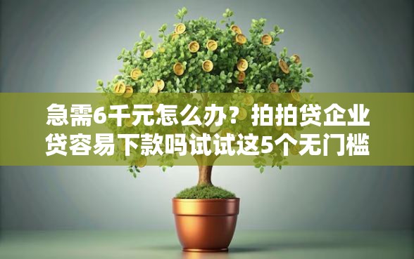 急需6千元怎么办？拍拍贷企业贷容易下款吗试试这5个无门槛平台