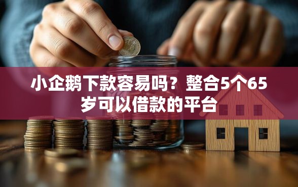 小企鹅下款容易吗？整合5个65岁可以借款的平台