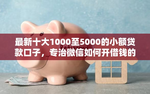 最新十大1000至5000的小额贷款口子，专治微信如何开借钱的