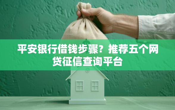 平安银行借钱步骤？推荐五个网贷征信查询平台