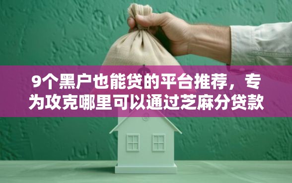 9个黑户也能贷的平台推荐，专为攻克哪里可以通过芝麻分贷款难题