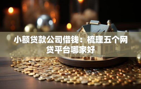 小额贷款公司借钱：梳理五个网贷平台哪家好