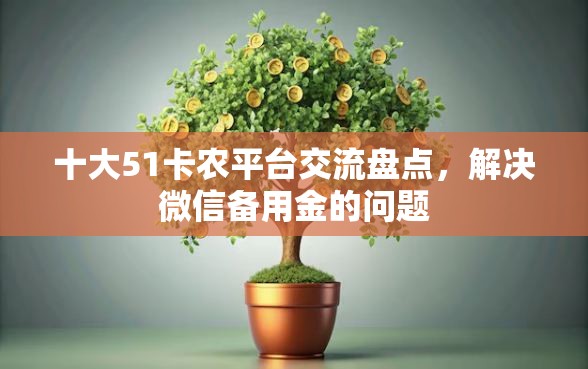 十大51卡农平台交流盘点，解决微信备用金的问题
