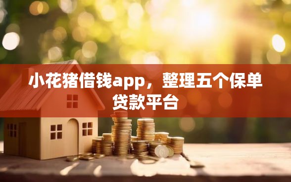 小花猪借钱app，整理五个保单贷款平台