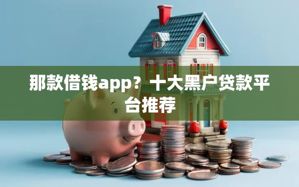 那款借钱app？十大黑户贷款平台推荐