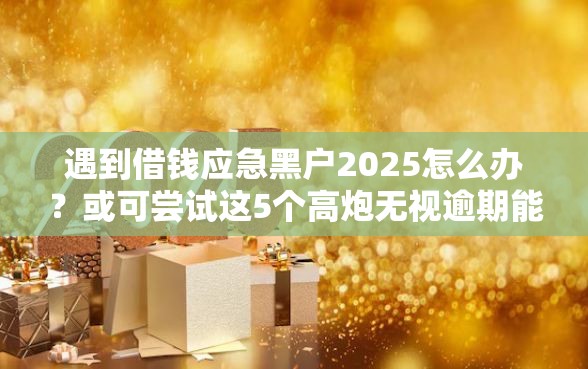 遇到借钱应急黑户2025怎么办？或可尝试这5个高炮无视逾期能下的口子