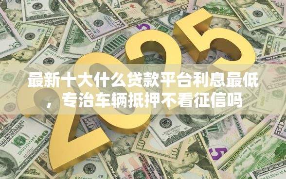 最新十大什么贷款平台利息最低，专治车辆抵押不看征信吗