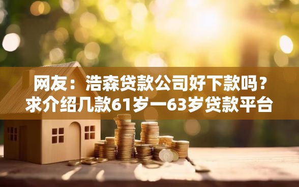 网友：浩森贷款公司好下款吗？求介绍几款61岁一63岁贷款平台