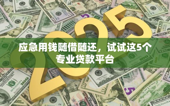 应急用钱随借随还，试试这5个专业贷款平台