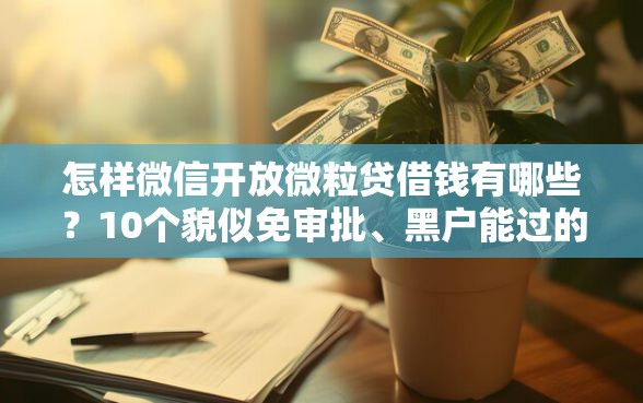 怎样微信开放微粒贷借钱有哪些？10个貌似免审批、黑户能过的网贷平台合集