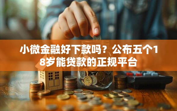 小微金融好下款吗？公布五个18岁能贷款的正规平台