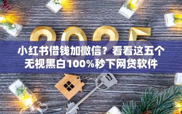 小红书借钱加微信？看看这五个无视黑白100%秒下网贷软件