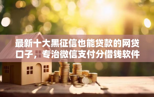 最新十大黑征信也能贷款的网贷口子，专治微信支付分借钱软件