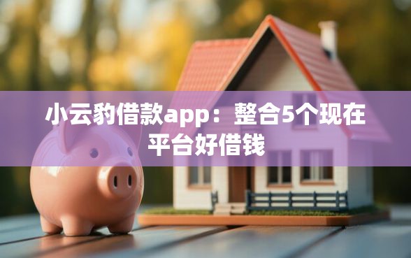 小云豹借款app：整合5个现在平台好借钱