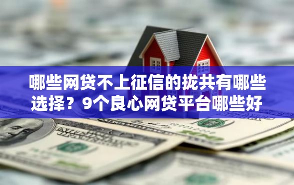 哪些网贷不上征信的拢共有哪些选择？9个良心网贷平台哪些好详解
