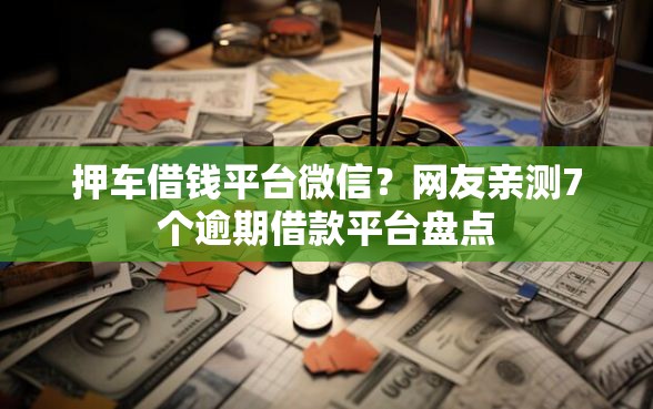 押车借钱平台微信？网友亲测7个逾期借款平台盘点