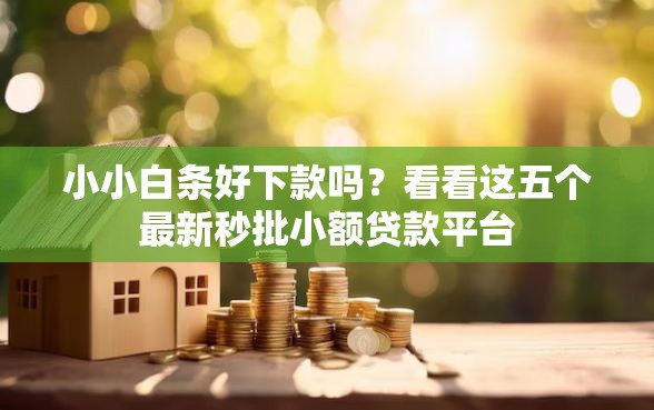 小小白条好下款吗？看看这五个最新秒批小额贷款平台