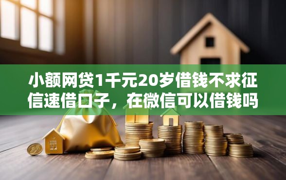 小额网贷1千元20岁借钱不求征信速借口子，在微信可以借钱吗知乎的8个平台介绍