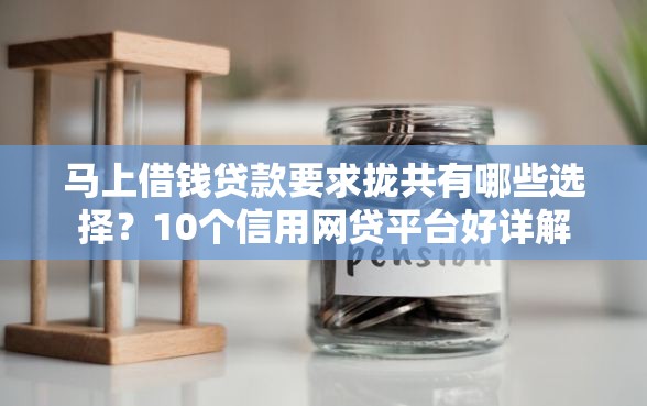 马上借钱贷款要求拢共有哪些选择？10个信用网贷平台好详解