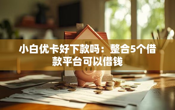小白优卡好下款吗：整合5个借款平台可以借钱