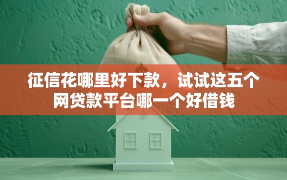 征信花哪里好下款，试试这五个网贷款平台哪一个好借钱