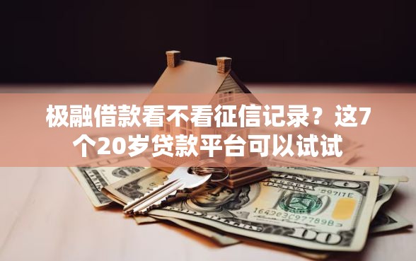 极融借款看不看征信记录？这7个20岁贷款平台可以试试