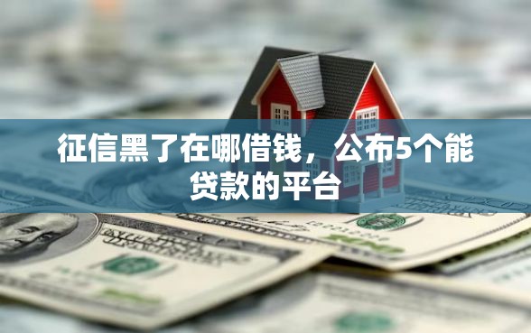 征信黑了在哪借钱，公布5个能贷款的平台