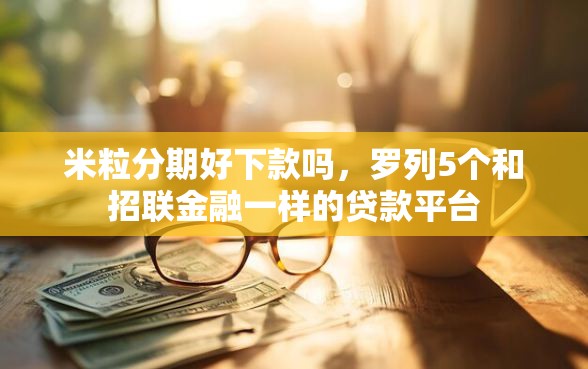 米粒分期好下款吗，罗列5个和招联金融一样的贷款平台