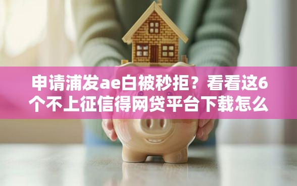 申请浦发ae白被秒拒？看看这6个不上征信得网贷平台下载怎么样