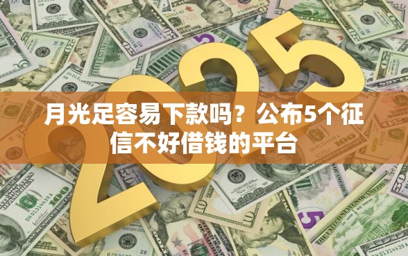月光足容易下款吗？公布5个征信不好借钱的平台
