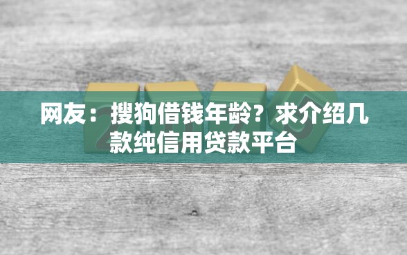 网友：搜狗借钱年龄？求介绍几款纯信用贷款平台