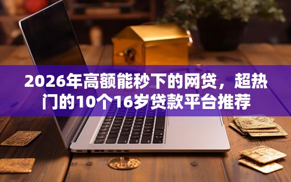 2026年高额能秒下的网贷，超热门的10个16岁贷款平台推荐