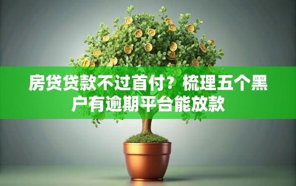 房贷贷款不过首付？梳理五个黑户有逾期平台能放款