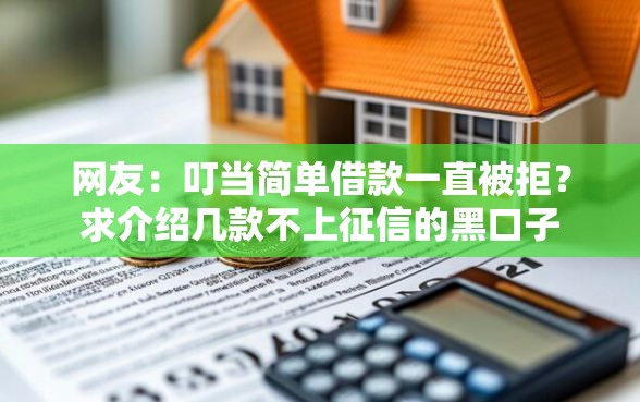 网友：叮当简单借款一直被拒？求介绍几款不上征信的黑口子