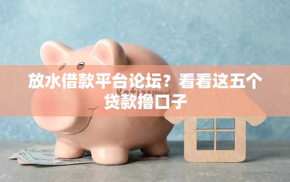 放水借款平台论坛？看看这五个贷款撸口子