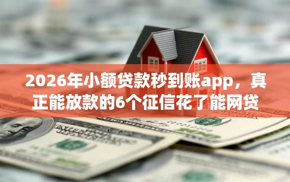 2026年小额贷款秒到账app,真正能放款的6个征信花了能网贷的平台推荐 2026年小额贷款秒到账app,真正能放款的6个征信花了能网贷的平台推荐